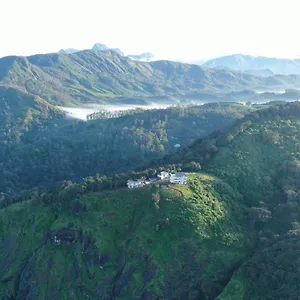 Forest County *** Munnar